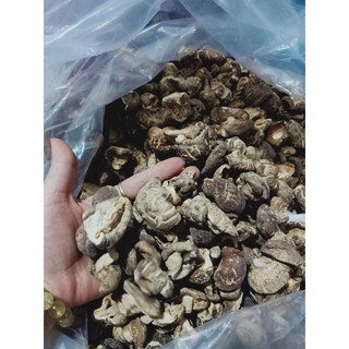 💥 BÔNG NẤM HƯƠNG KHÔ