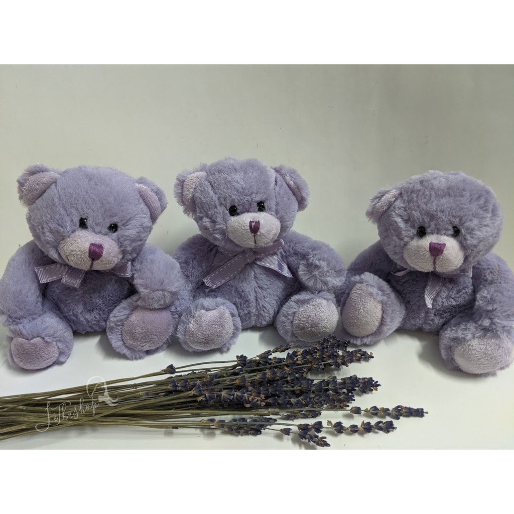 Gấu TEDDY LAVENDER