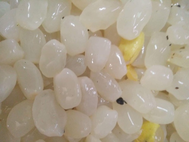 Hạt đác  đầu vụ 1kg | BigBuy360 - bigbuy360.vn