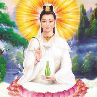 500 gram BỘT HẠT SEN