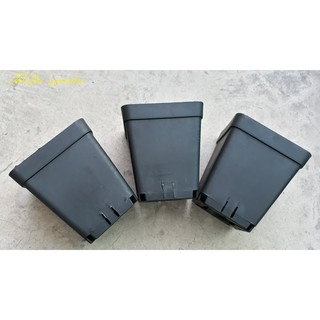 Chậu vuông đen size 9x9 cm (set 100 cái)