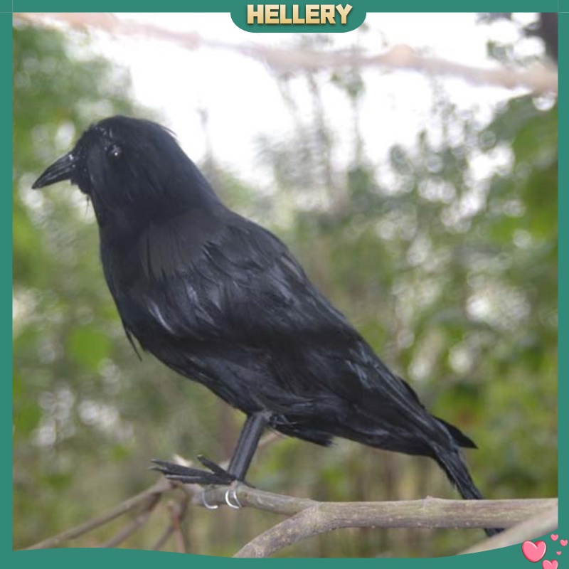 Set 6 Chú Chim Nhồi Bông Màu Đen Dùng Làm Đạo Cụ Hóa Trang Halloween