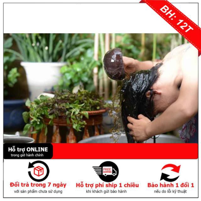 Dầu gội bồ kết chính hãng công ty 1000ml | BigBuy360 - bigbuy360.vn