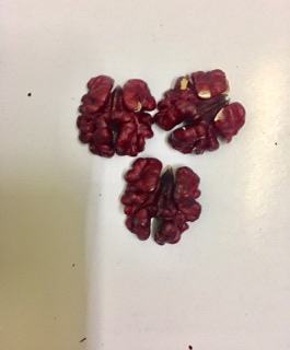 1kg Quả óc chó đỏ nhập khẩu Mỹ