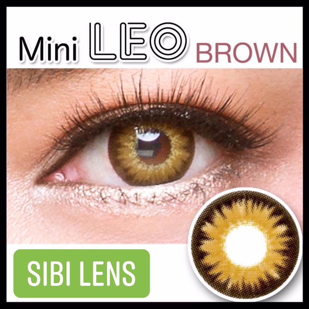 Lens Leo Brown - Lens Chuẩn Thái  - Cam Kết Chính Hãng