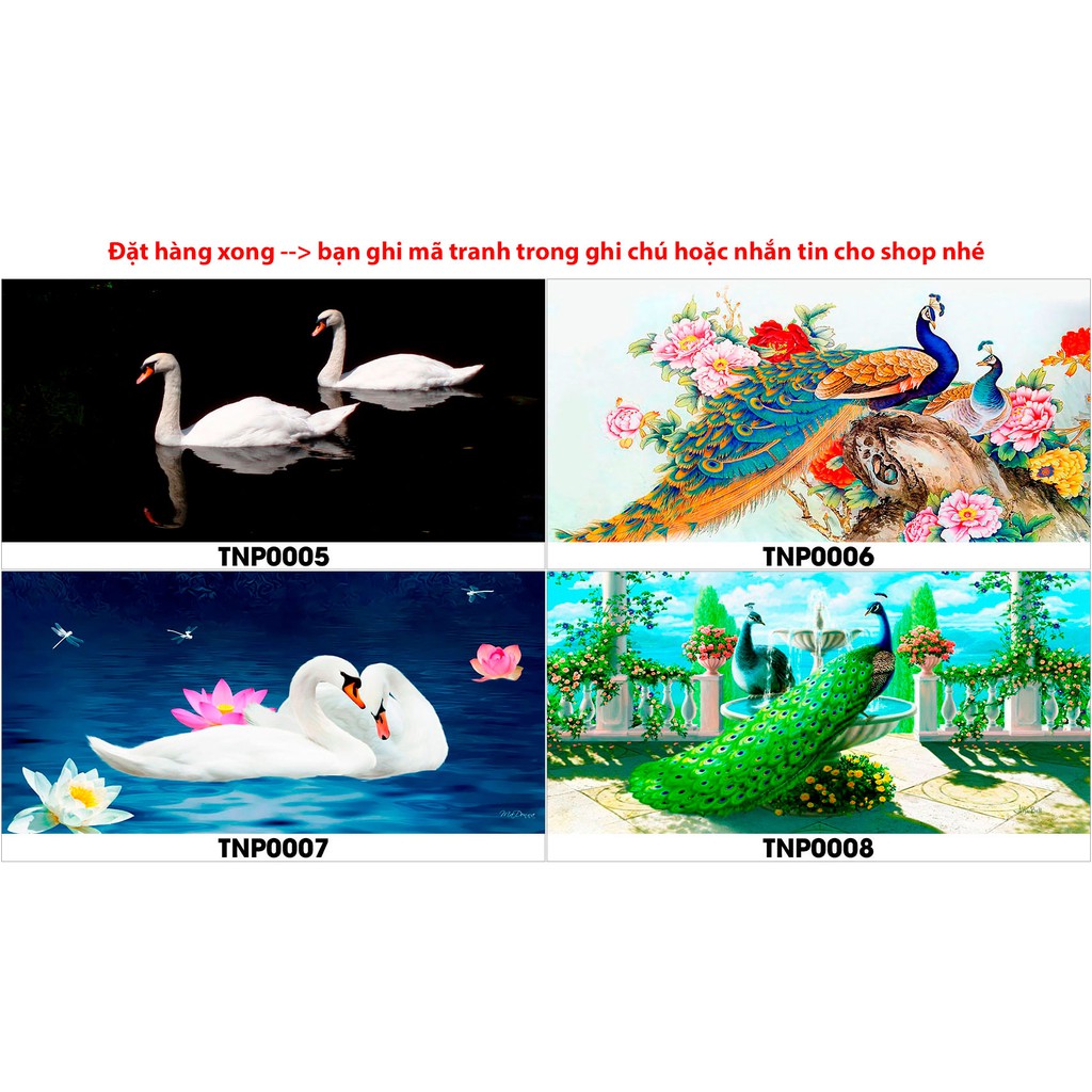 Tranh hồ cá TNP công phượng hoàng thiên nga có keo sẵn