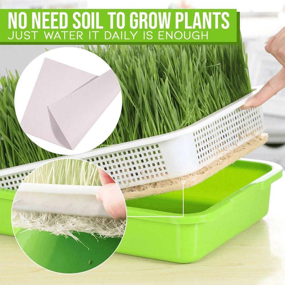 Khay Trồng Cây Mầm Không Cần Đất Bằng Giấy Tiện Dụng Cho Sân Vườn / Trong Nhà / Ngoài