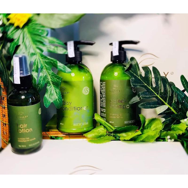 [CHÍNH HÃNG] ComBo Vijully 3in1 Bộ Dầu Gội và Kem Xả Bưởi và Tinh dầu bưởi Cao Cấp có hộp và túi | BigBuy360 - bigbuy360.vn