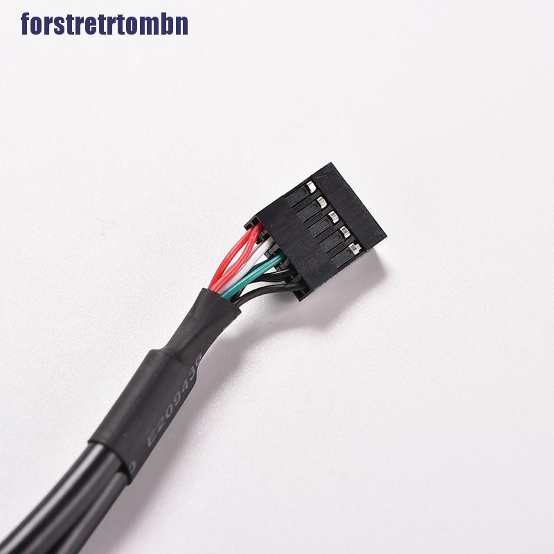 1pc Black 30cm / 1ft 2 Port Usb A Female To Inter 9 Pin Header Ada | BigBuy360 - bigbuy360.vn