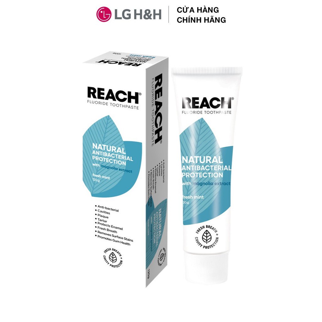 Kem đánh răng kháng khuẩn Reach Flouride Fresh Mint 120gr - Hương Sảng Khoái