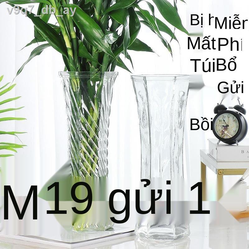 ( rẻ mà chất lượng)Bình thủy tinh dày dặn, cắm hoa phòng khách, trúc phú quý canh, to trong suốt phong cách Châu Âu
