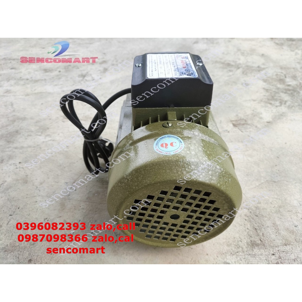 Chuyên cung cấp MOTOR TOÀN PHÁT 1100W  2900v/p