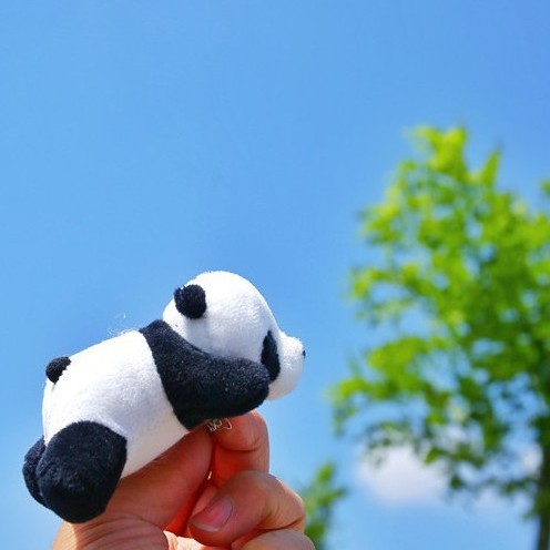 Trâm cài áo, balo, túi xách gấu bông chú gấu trúc Panda nhồi bông xinh xắn