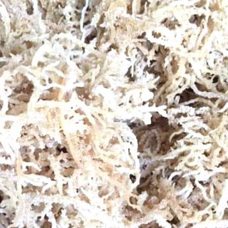 Rong Sụn Nấu Chè 500G