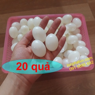 20 trứng bồ câu giả vỏ nhựa bên trong là nước cho chim ấp 20tn