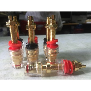 Cọc loa đồng trong to và dài