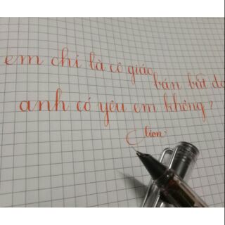 Bút mài Lê Ta 368 ngòi kim tinh lá tre