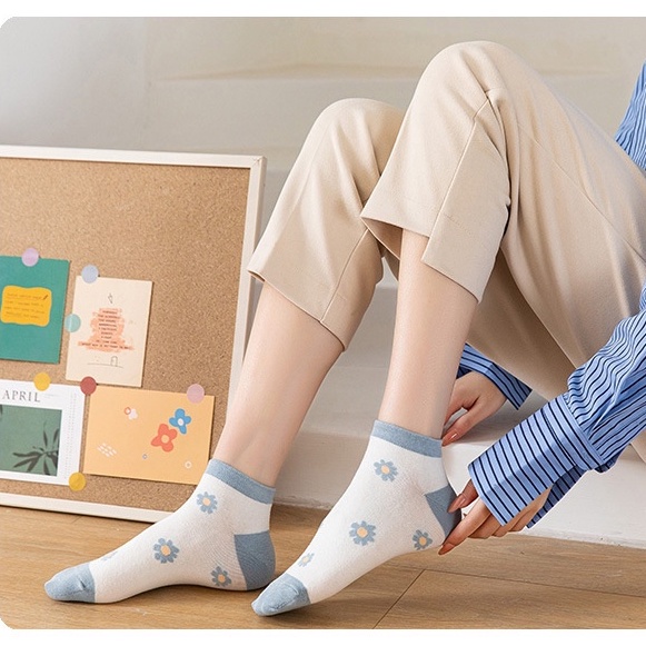 Vớ nữ cổ ngắn set 5 đôi phong cách hàn quốc chất cotton có túi zip covolacotat