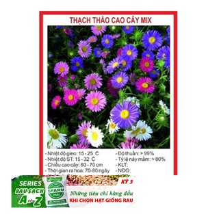 Hạt Giống Hoa Thạch Thảo Lùn Mix 50 Hạt ĐẾN MÙA TRỒNG TẾT
