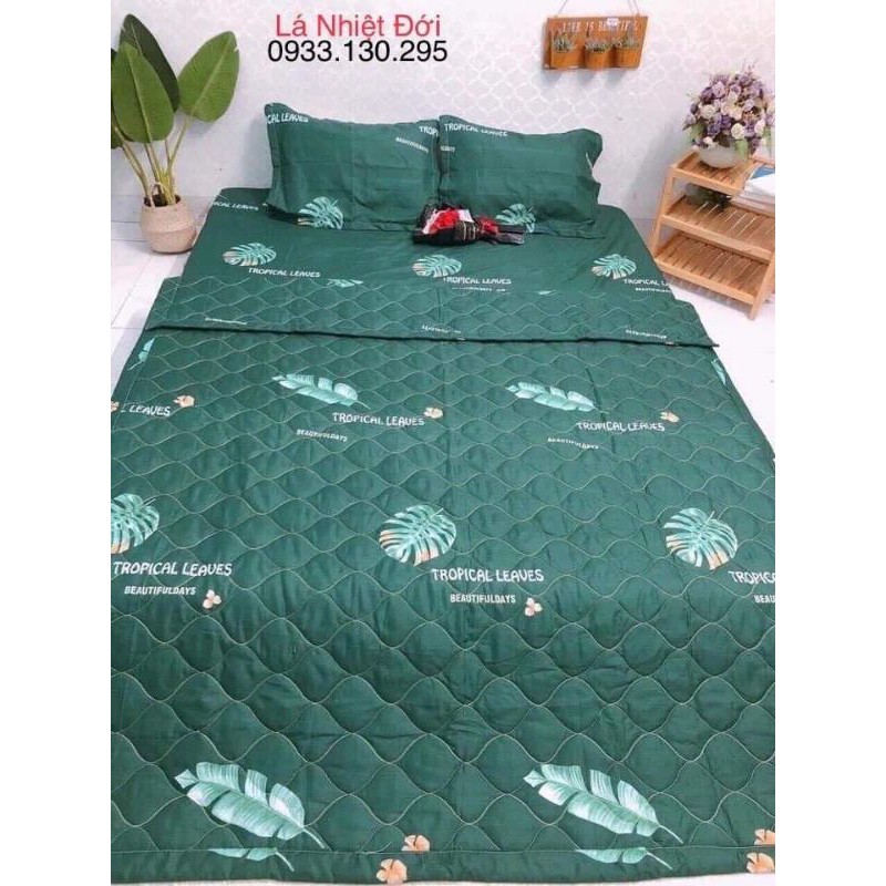 bộ chăn ga gối  hè 5 món cotton poly Hàn Quốc | BigBuy360 - bigbuy360.vn