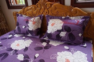 Bộ ga và vỏ gối cotton lụa hàn alnena