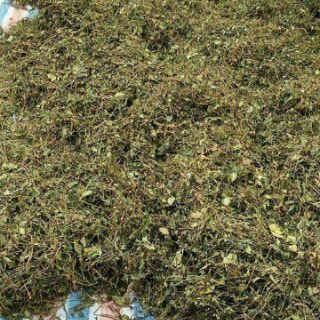 CHÈ VẰNG SẺ GIẢM CÂN - LỢI SỮA