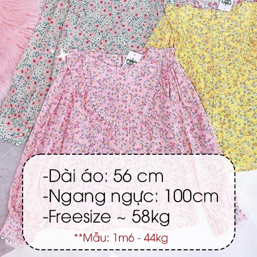 Áo sơ mi hoa sương vạt bèo CHUU A6978