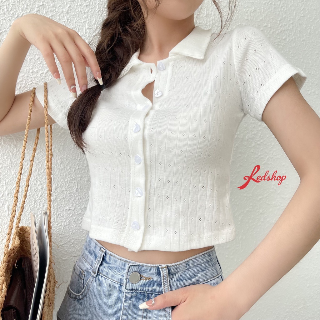 Áo croptop cổ đức dạo phố đi chơi thời trang Hàn Quốc Red Shop_29800