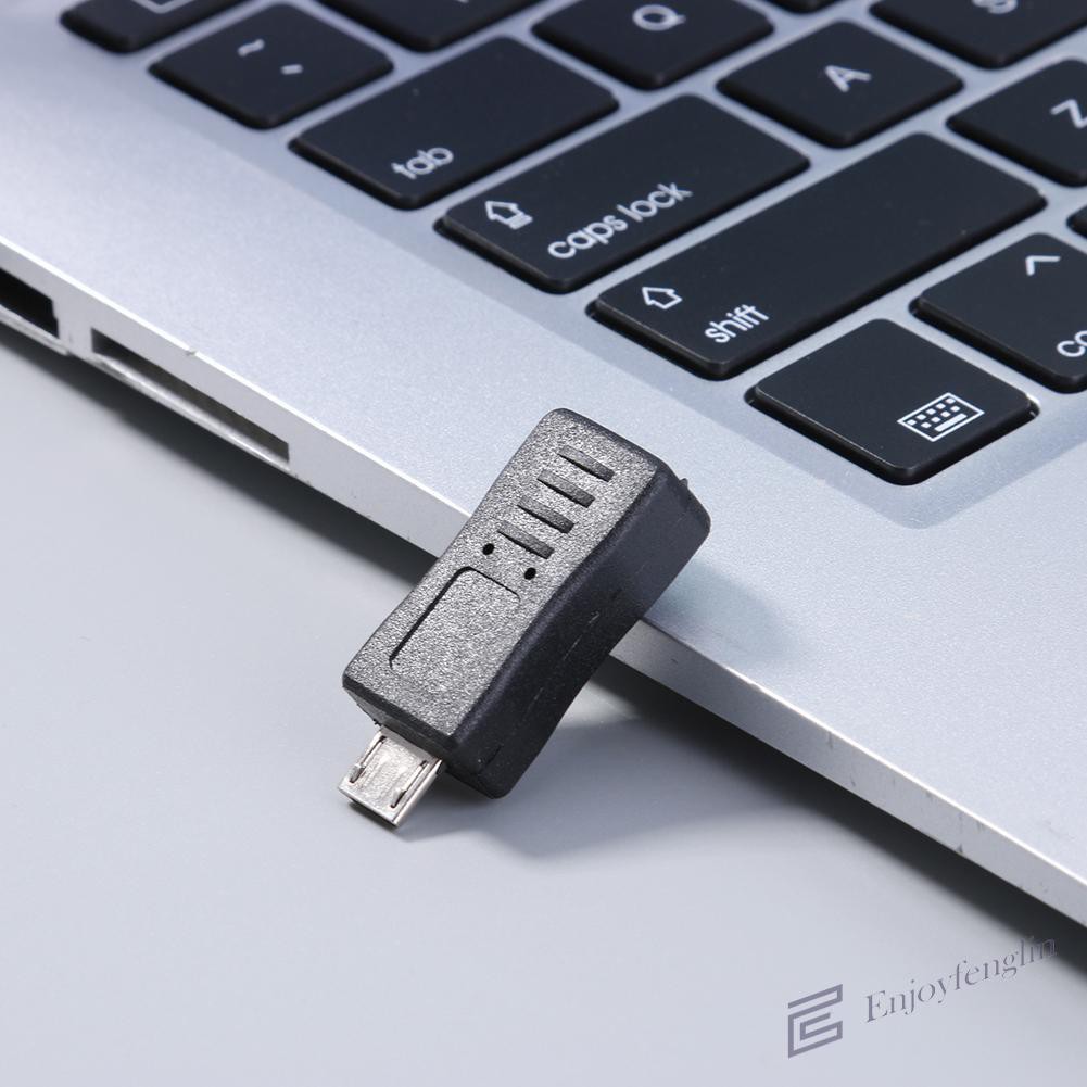 Bộ 2 Đầu Chuyển Đổi Mini Usb 5pin Female Sang Micro Usb Male T Shape 3 To V8