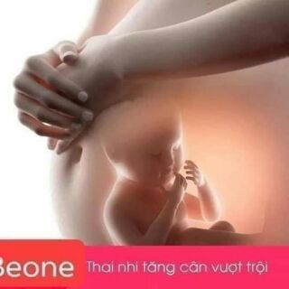 Ngủ cốc Be One
