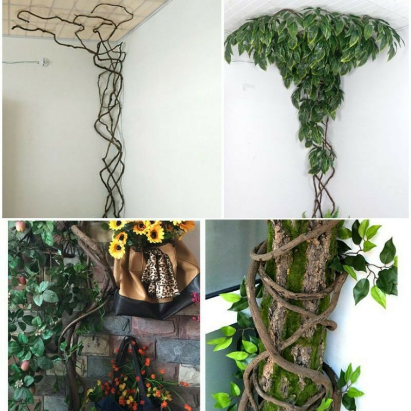 Cuộn dây xoắn rừng tự nhiên dùng làm dây leo giả trang trí decor quán cafe, nhà hàng resoft , trang trí lan hồ điệp
