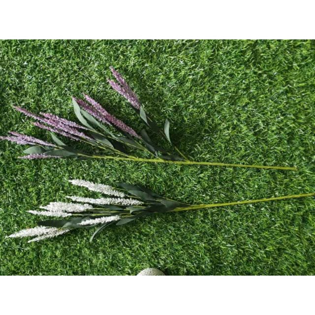cành lavender 15k