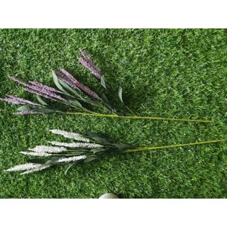 cành lavender 15k