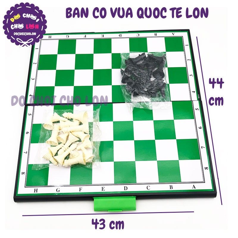 Đồ chơi bàn cờ VUA QUỐC TẾ LỚN bằng nhựa SIZE 44 x 43 cm