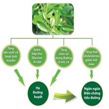 DIABETNA – HỖ TRỢ ĐIỀU TRỊ TIỂU ĐƯỜNG - Amipharma