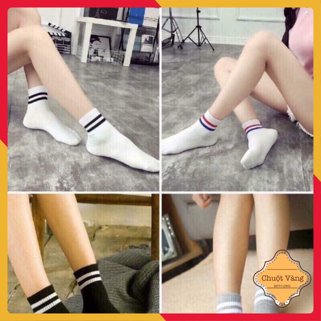 Combo 10 Tất kẻ cổ nữ