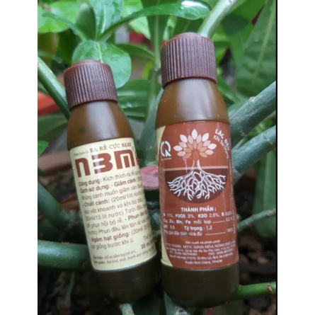 Phân Bón Lá - Kích thích ra rễ N3M PRO (chai 20ml), kích rễ n3m 588