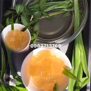 Hạt thạch bông cỏ/aiyu/mác pup 1 kg