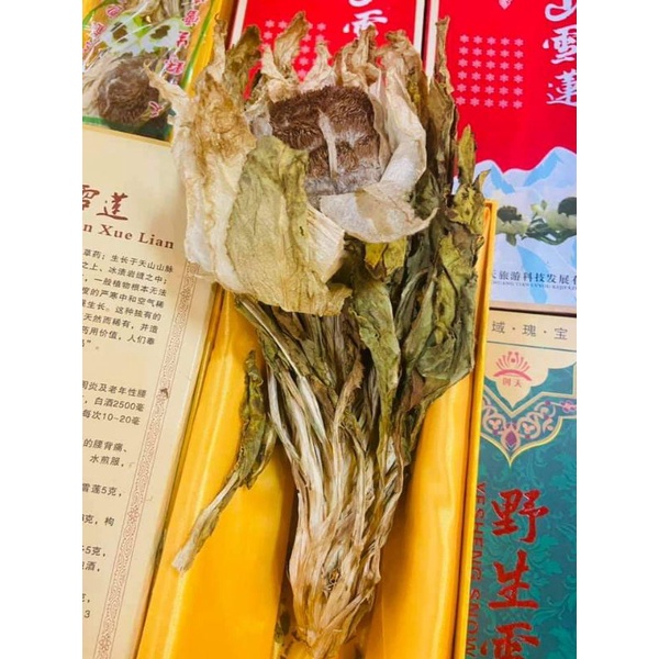 Thiên sơn tuyết liên hàng khủng hơn 100g kèm hộp cho dân chơi