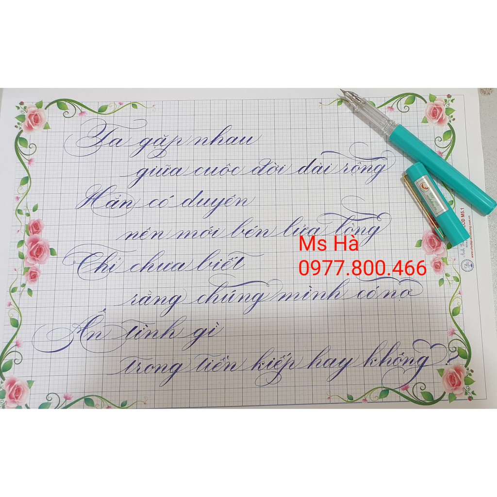 #CD103 Bút máy ngòi kim tinh lá tre Cánh Diều CD 103