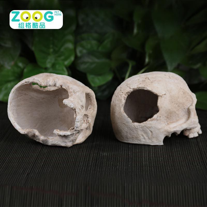 Nhà đầu lâu nửa đầu dành cho bò sát/hamster/đuôi mập halloween