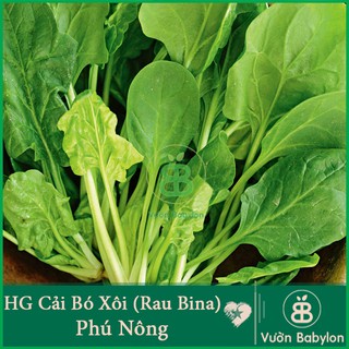 Hạt Giống Phú Nông Chất Lương Cao - HG Rau, Củ, Quả Nhiệt Đới Năng Suất, Dễ Trồng, Chịu Nhiệt
