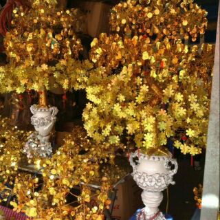 Sỉ & lẻ nguyên liệu cây Kim Tiền vàng-cây tài lộc pha lê