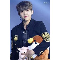 Chim sẻ bông Amuse cỡ bự cho fan Wanna One Park Woo Jin