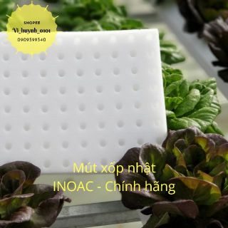 Lẻ tấm mút xốp trồng rau thủy canh chuẩn Nhật 96 miếng 25x25x25mm