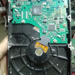 Ổ cứng 80G Samsung Cũ