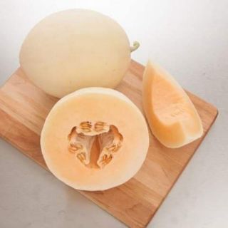 Hạt giống dưa lê cẩm ngọc cam