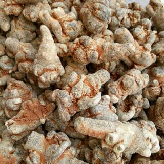 TAM THẤT BẮC TRỒNG TẠI BẮC HÀ LÀO CAI- LOẠI 5 CỦ 100gr. HÀNG CHUẨN BAO CHẤT LƯỢNG BAO KIỂM TRA HÀNG TRƯỚC KHI THANH TOÁN