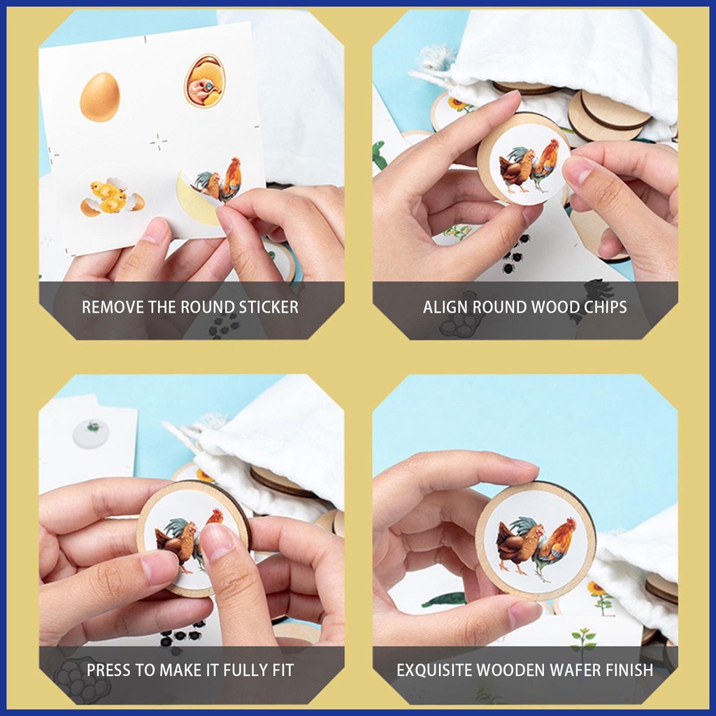 Bộ Đồ Chơi Xếp Hình Vòng Đời Của Đời Sống Bằng Gỗ Kèm Năm Ngăn Dành Cho Bé