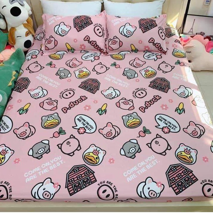 Bộ ga chun kèm vỏ gối poly cotton, ga giường bọc đệm m6x2m; m8x2m; 2mx2m2